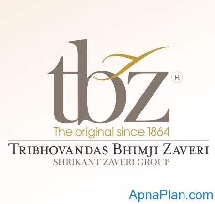 Tribhovandas Bhimji Zaveri Limited (TBZ) Daily Subscription Status