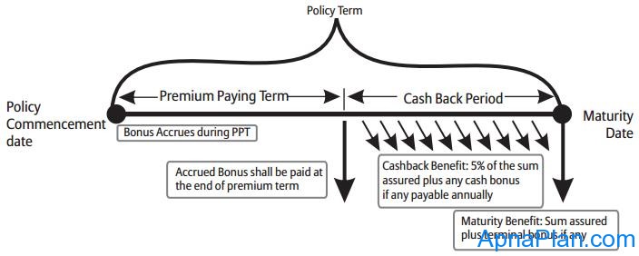 Bajaj Allianz Cash Rich Insurance Plan working