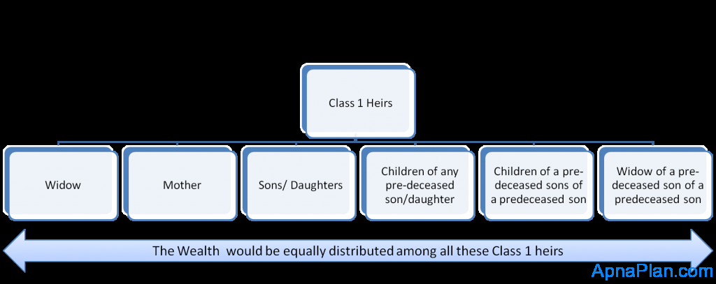 Class 1 heirs Class 1 heirs