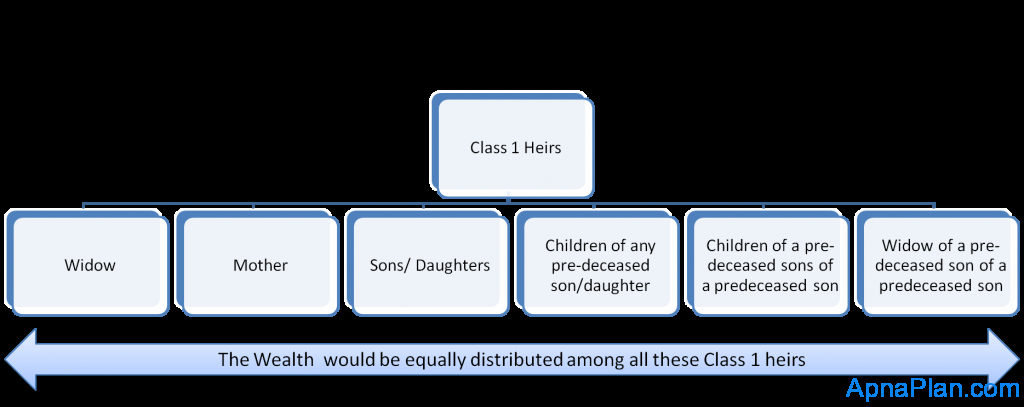 Class 1 heirs