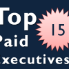 Top 15 Highest Paid Executives in India