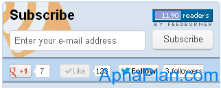 Apnaplan.com - Subscribers & Likes - Feb 2013