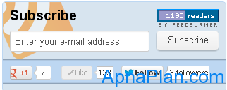 Apnaplan.com - February 2013 Traffic and Earning Report 5 Apnaplan.com - Subscribers & Likes - Feb 2013